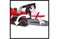 Einhell Akku-Kettensäge, GE-LC 18/25, Li Kit