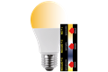  LED Birnenform 10 W (60W), E27, 810lm, 3in1 dimmer