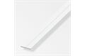  PVC Flachstange 23,5x2,0 mm, 1 m