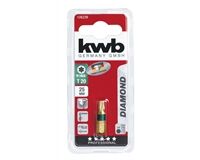 Bit, Diamant, 25 mm, Torx 20
