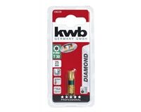 Bit, Diamant, 25 mm, Torx 30