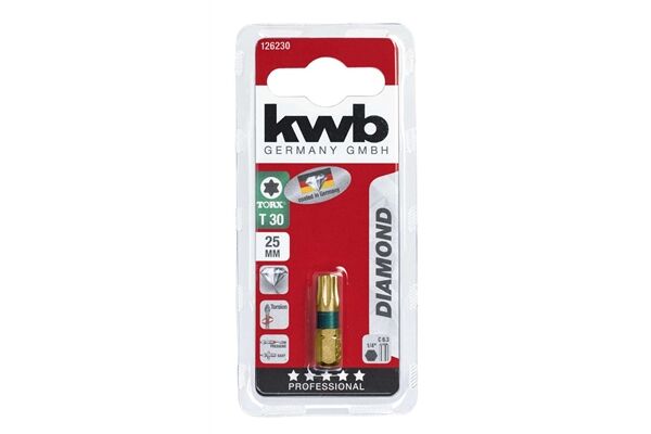  Bit, Diamant, 25 mm, Torx 30