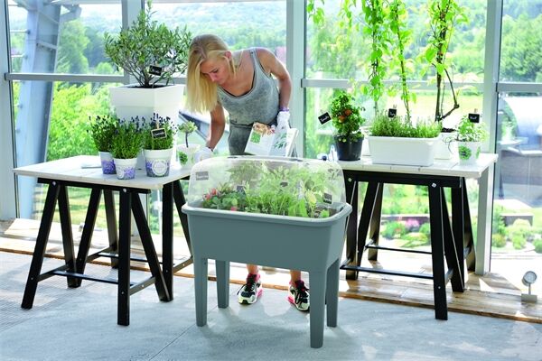 PROSPERPLAST Hochbeet, 52 L, 770 x 387 x 850 mm
