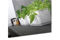 PROSPERPLAST Blumenkasten Ratolla, 49 x 16 x 17,5 cm