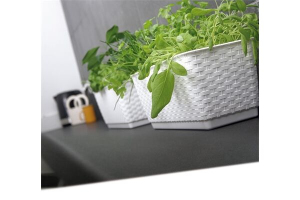 PROSPERPLAST Blumenkasten Ratolla, 49 x 16 x 17,5 cm