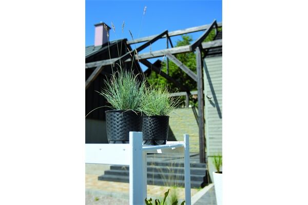 PROSPERPLAST Blumentopf Ratolla Round, Ø 16,5 cm