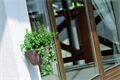 PROSPERPLAST Blumenampel Ratolla Rund, Ø 21,7