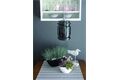 PROSPERPLAST Blumenschale 36x15x13,2 cm