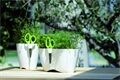 PROSPERPLAST Blumentopf Limes Uno, Ø 15 cm