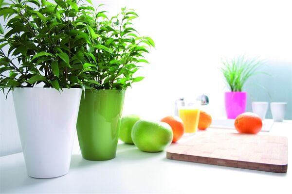 PROSPERPLAST Blumentopf Coubi Orchid, Ø 13 cm