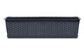 PROSPERPLAST Blumenkasten, 58,7x17,3x15 cm,