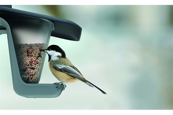 PROSPERPLAST Vogelhaus Birdyfeed Double