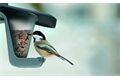 PROSPERPLAST Vogelhaus Birdyfeed Double