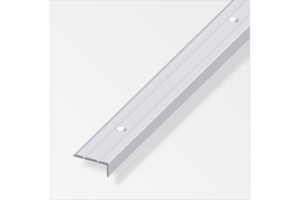  Alu Abschlussprofil 25x10 mm, 2 m