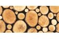 Kaiman Klebefolie 0,1 mm, PVC 200 cm x 45 cm, Baumscheibe