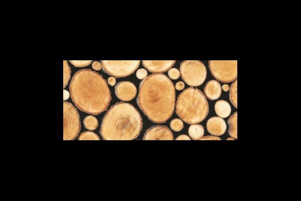 Kaiman Klebefolie 0,1 mm, PVC 200 cm x 45 cm, Baumscheibe