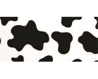 Kaiman Klebefolie 0,1 mm, PVC, 200 cm x 45 cm, Kuhmuster