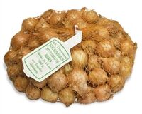 Pflanzzwiebeln, Stuttgarter Riesen, 500 g