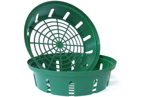  Pflanzkorb für Zwiebelpflanze, Ø 21,7 cm, 3 St.