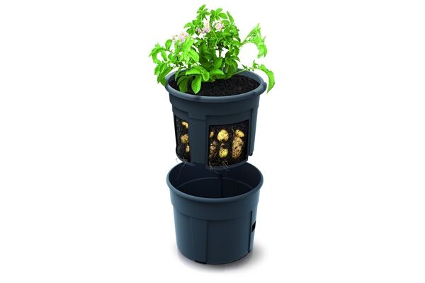 PROSPERPLAST Kartoffeltopf 392 x 316 mm