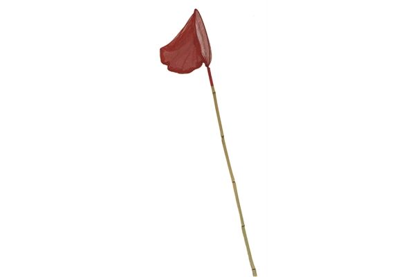  Kescher mit Bambusgriff