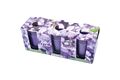  3x Duftkerze Lavendel Ø 4,5 cm x 6,5 cm