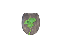 WC-Sitz, Duroplast, Absenkautomatik, Gingko&Wood