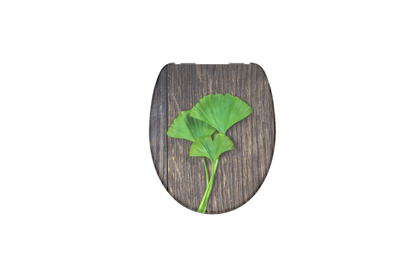  WC-Sitz, Duroplast, Absenkautomatik, Gingko&Wood