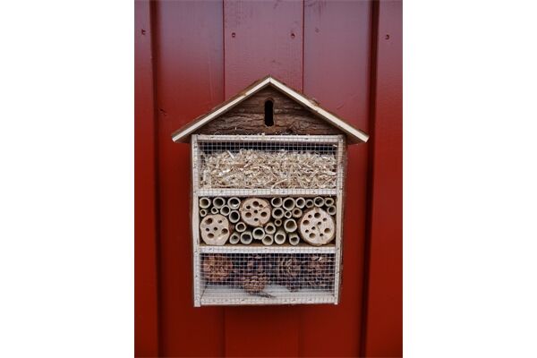  Insektenhotel