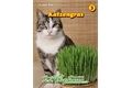  Saatgut Katzengras enthält wertvolle Folsäure und