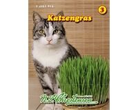 Saatgut Katzengras enthält wertvolle Folsäure und unterstützt die Verdauung