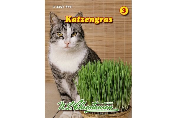  Saatgut Katzengras enthält wertvolle Folsäure und