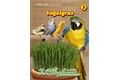  Saatgut Vogelgras (Phleum pratense)
