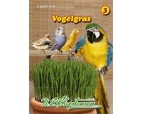 Saatgut Vogelgras (Phleum pratense)