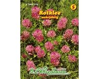 Saatgut Rotklee eiweißreiche Futterpflanze mehrjährig