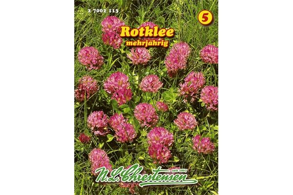  Saatgut Rotklee eiweißreiche Futterpflanze