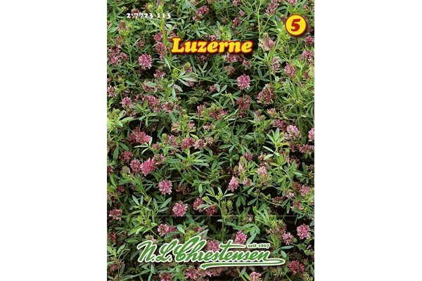  Saatgut Luzerne nährstoffreich