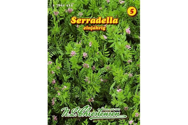  Saatgut Serradella