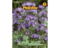 Saatgut Phacelia