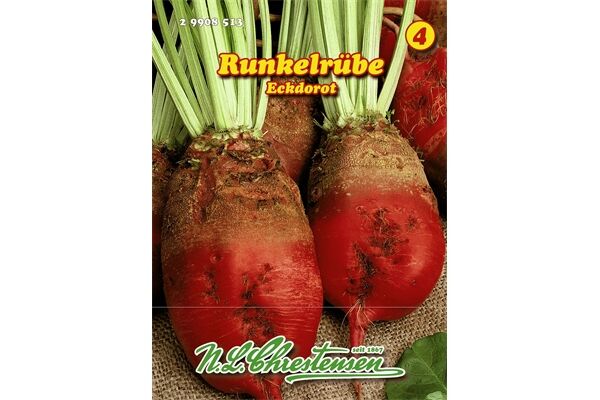  Saatgut Runkelrübe Eckdorot