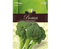 Saatgut Brokkoli,calabrese,grünfrüchtig