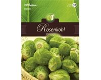 Saatgut Rosenkohl,groninger