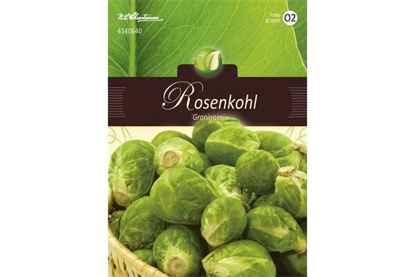  Saatgut Rosenkohl,groninger