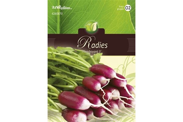  Saatgut Radies, Flamboyant 3