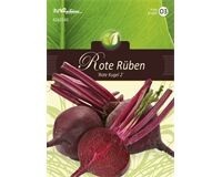 Saatgut Rote Rüben, Rote Kugel 3, für 70 Pflanzen