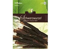 Saatgut Schwarzwurzel, Hoffmanns Schwarze Pfahl, für 3- 4 lfd. m.