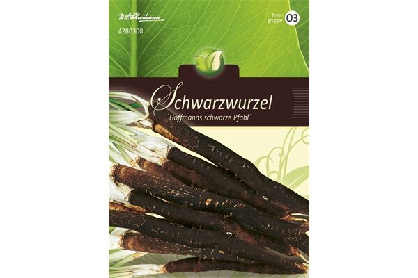  Saatgut Schwarzwurzel, Hoffmanns Schwarze Pfahl,