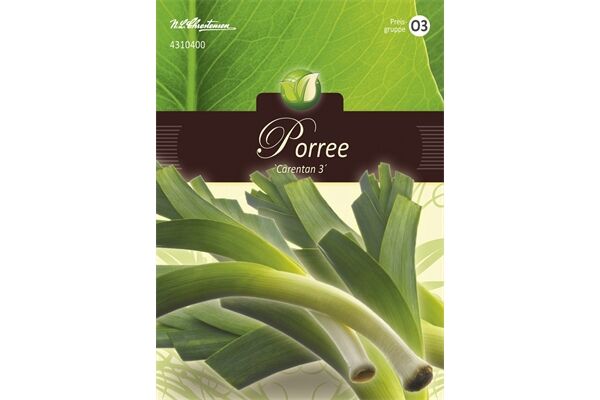 Saatgut Porree,Carentan 3, für 70 Pflanzen