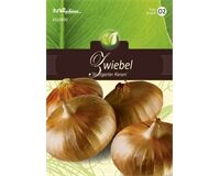 Saatgut Zwiebeln, Stuttgarter Riesen, für 4- 6 lfd. m