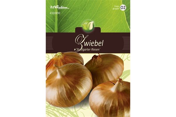  Saatgut Zwiebeln, Stuttgarter Riesen,